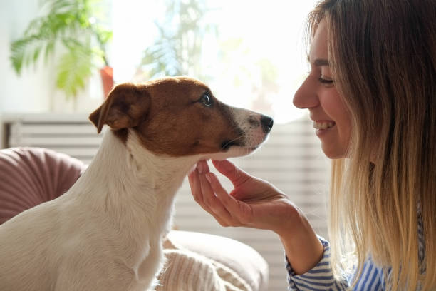 istock Young woman with a pup at home 1352704594