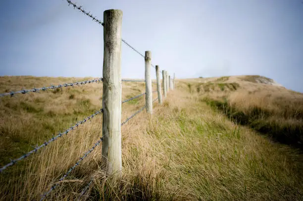 Barbed wire fencing supported by wooden fence poles, Dorset, England, UK.