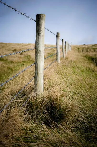 Barbed wire supported by wooden fence posts, Dorset, England, UK.