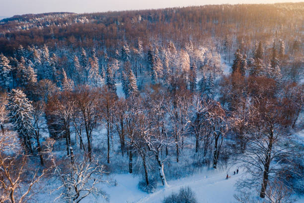 Snowy winter landscape at sunset