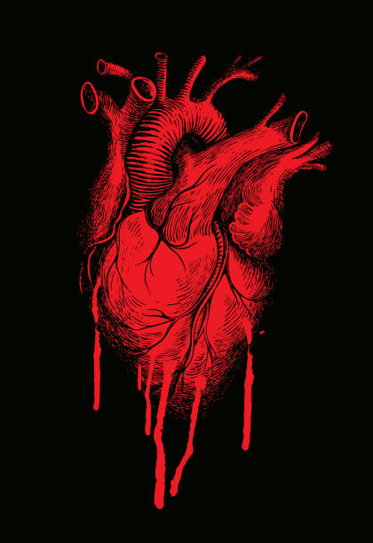 banner with a red human heart and streaks of blood vector art illustration