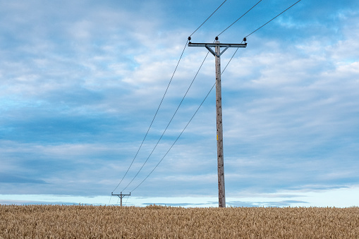 Overhead electricity power lines, supported by wooden poles, crossing a farm field in Northumberland, England, UK.