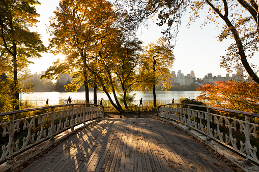Autumn views from Gothic Bridge in Central Park, New York City.