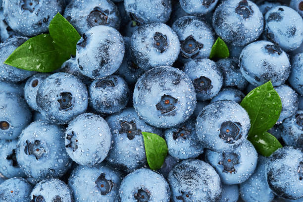 istock Closeup of fresh blueberries background with water drops 1352710130