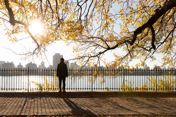 One person enjoying autumn views of the reservoir in Central Park.