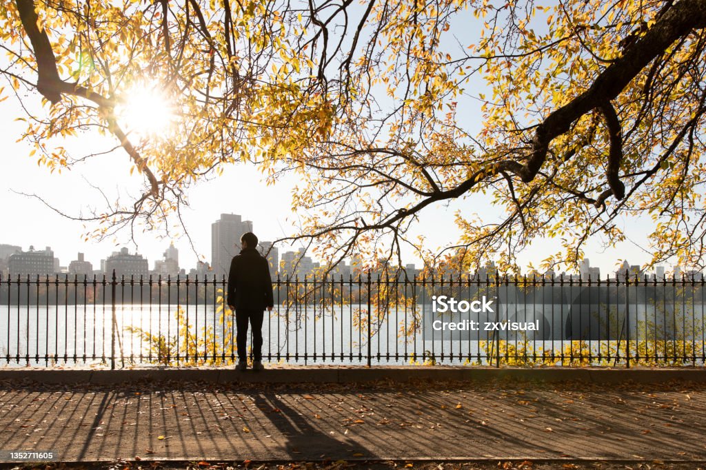 Central Park Reservoir View One person enjoying autumn views of the reservoir in Central Park. Autumn Stock Photo