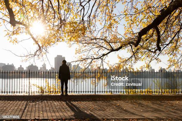 Central Park Reservoir View Stock Photo - Download Image Now - Autumn, City, People
