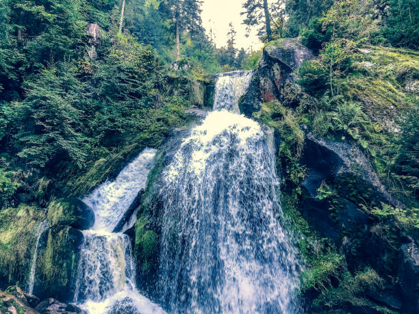 A small stony river with waterfalls in the Black Forest.