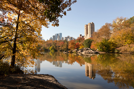 Autumn views in Central Park, New York City.