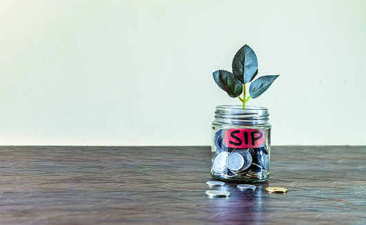 A glass jar full of coins and a plant growing through it. Concept image showing investment via Systematic Investment Plan (SIP) can help building wealth.