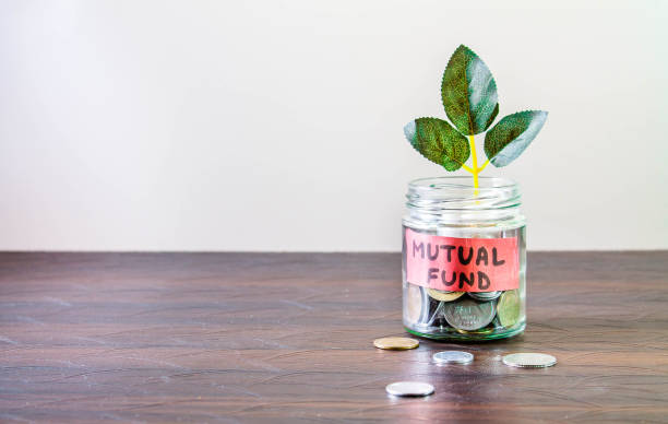 un bocal en verre plein de pièces de monnaie et une plante qui pousse à travers lui. image conceptuelle montrant qu’investir dans des fonds communs de placement peut aider à créer un patrimoine. - mutual fund photos photos et images de collection