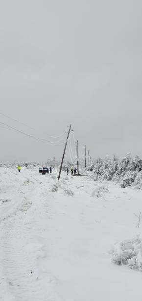 istock Ice age winter, beautiful landscape 1352724511
