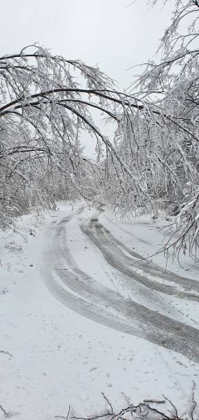 istock Ice age winter, beautifoul landscape 1352725394
