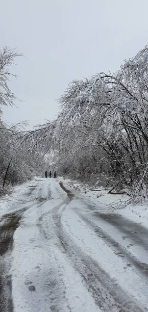 istock Ice age winter, beautifoul landscape 1352725428