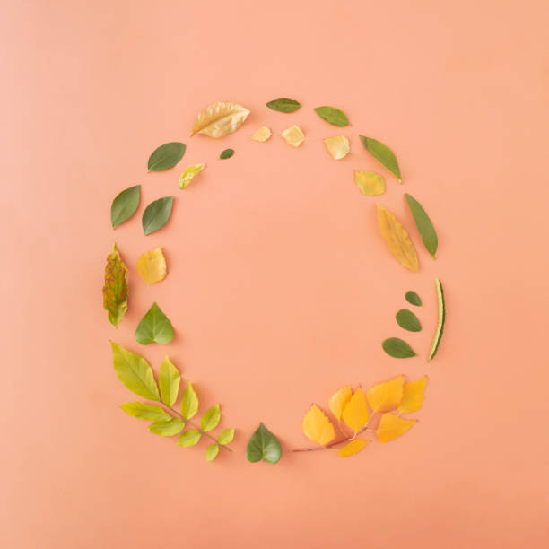 circle of green, yellow, golden and brown autmn leaves on sandy pastel background. creative representation of seasonal change. flat lay composition. - sandy brown fotos imagens e fotografias de stock