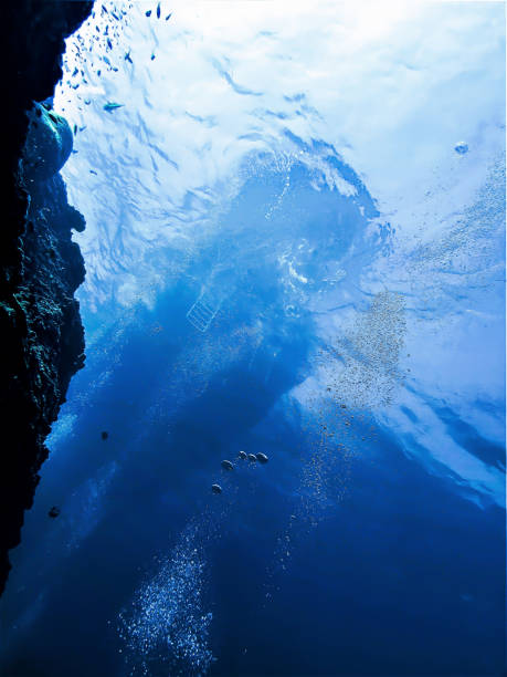 istock Ascending by the dive boat 1352725690