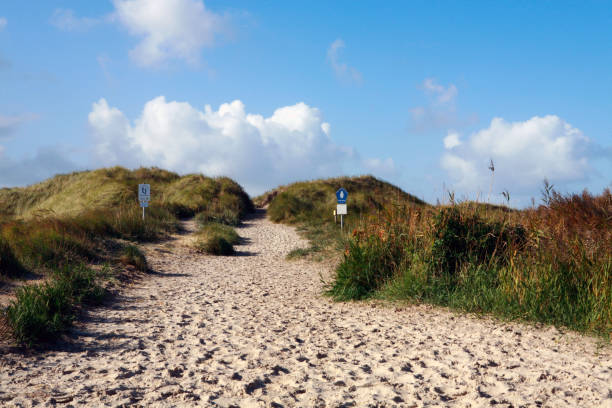 istock the way to the beach 1352728376