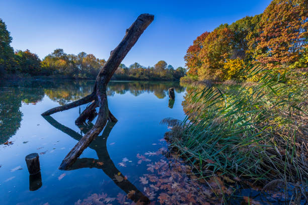 istock Autumn lakeside landscape 1352729703