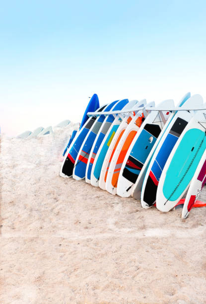 istock Colored Longboards by the sea. Concepts beach holiday concept. Copy space 1352729794