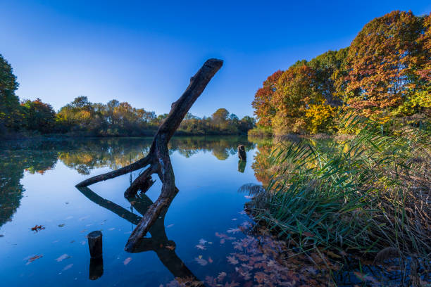istock Autumn lakeside landscape 1352729913