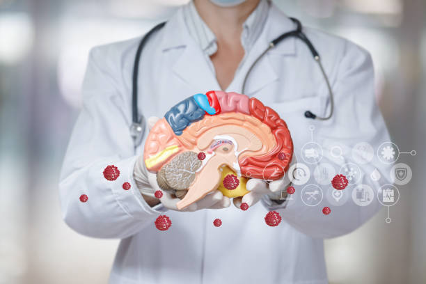 istock Concept of the effect of viruses on brain function i. 1352730995