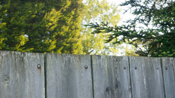 istock Wooden fence 1352732919