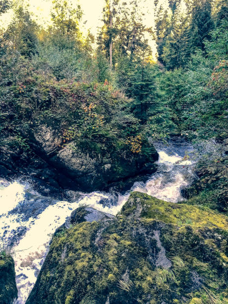 istock A small stony river with waterfalls in the Black Forest. 1352734267