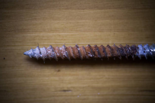 Close up shot of a used rusty wood screw.