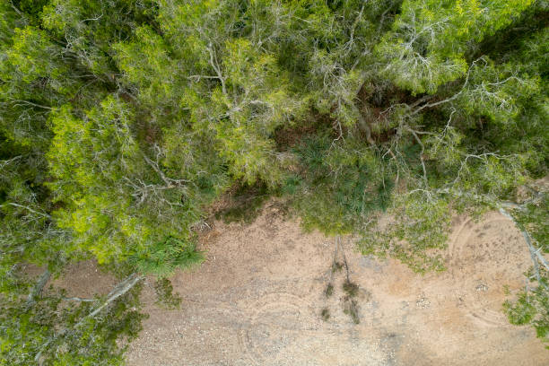 istock Drone Aerial Landscape 1352743051