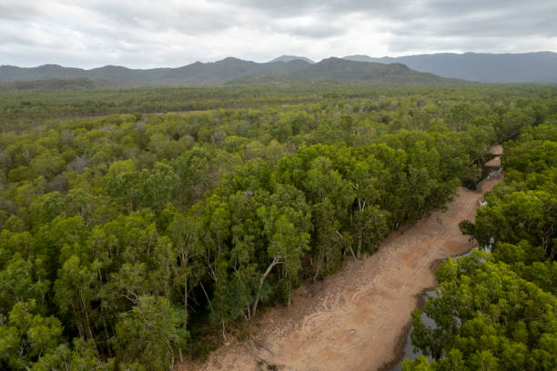 Drone Aerial Landscape