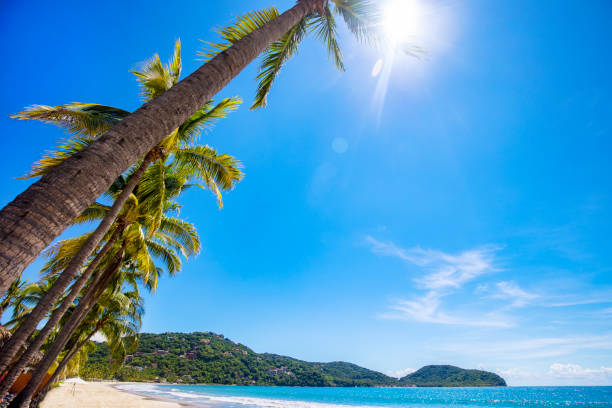istock Sun sea and sand 1352744967