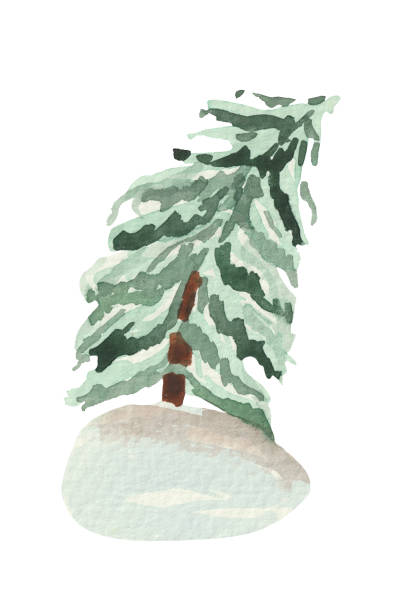 눈 표류에 수채화 크리스마스 트리 - frozen leaf cold white background stock illustrations