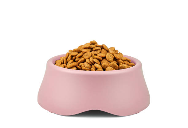 Kibble in pet bowl isolated on white