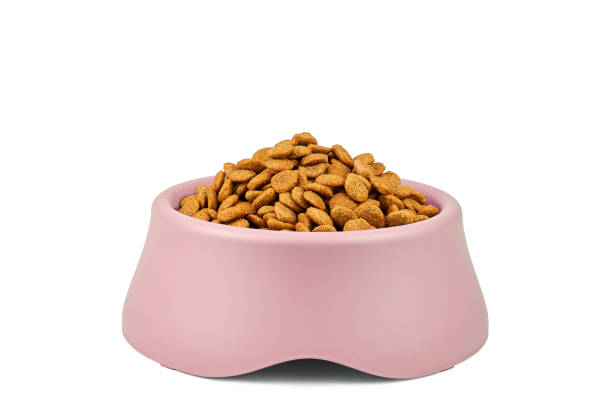 Kibble in pet bowl isolated on white stock photo
