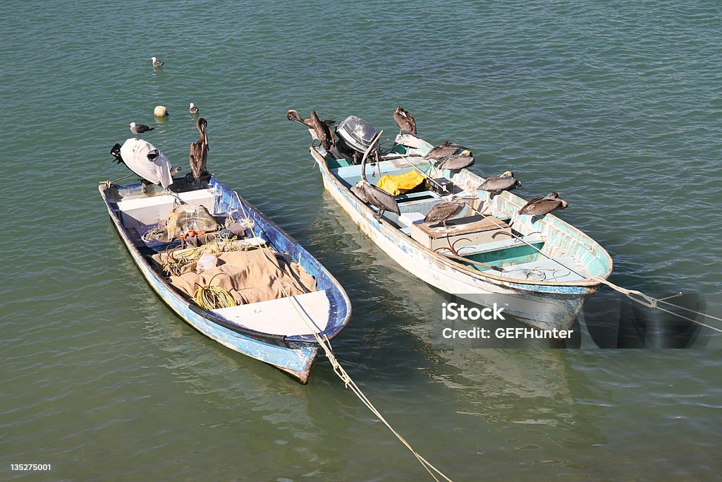 Two Boats Complete with Birds Two boats float in a bay. Birds are attracted by the remaining smell of fish. The images could be used to sell boats, to attract people to the water, to attract tourists to such a place, to encourage recreational activities or bird watchers. Bay of Water Stock Photo