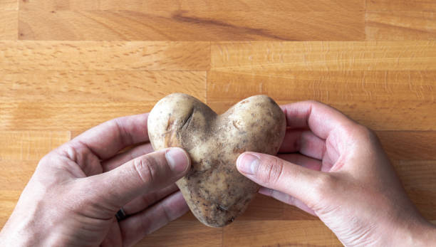 męskie i damskie ręce dzielą i trzymają ziemniaka w kształcie serca na drewnianym tle deski do krojenia, tworząc romantyczne walentynkowe tło miłosne. - heart shape raw potato food individuality zdjęcia i obrazy z banku zdjęć