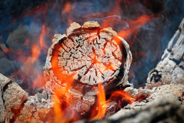 istock Macro view of logs burning during a fire 1352759455