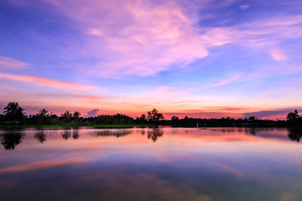 twilight landscape view in silhuette tree and reflection water  colourful white balance effect process cloudscape and river for background wallpaper