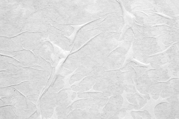 istock white crumpled and creased paper poster texture background 1352766333