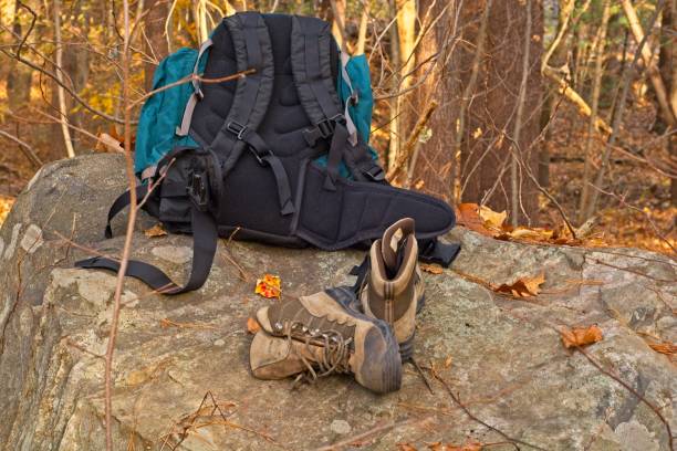 istock Weary hiking boots repose on a glacial erratic 1352771735