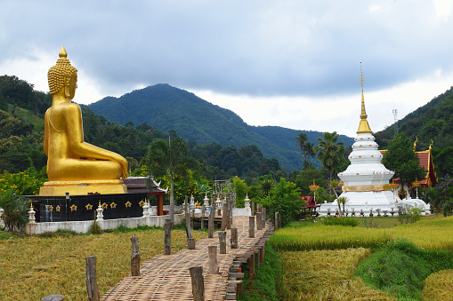 Wat Na Khuha, Trail, Mueang Phrae District, Northwest Thailand, Trail over Rice Fields, Starting Point of the Trail, Big Buddha Statue, Chedi, Temple, behind it different Kinds of Trees, Mountains in the Background, Artworks, Crafts, Attraction, Point of Interest