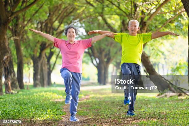Happy Senior Couple Exercising In The Park Stock Photo - Download Image Now - Balance, Senior Adult, Relaxation Exercise
