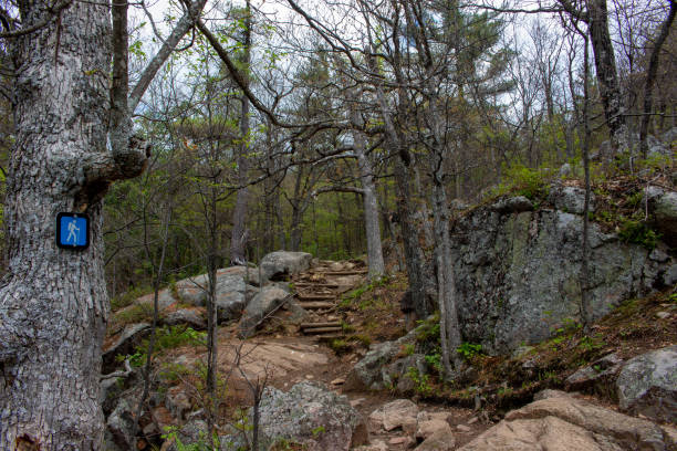 istock Gatineau Park 1352784076