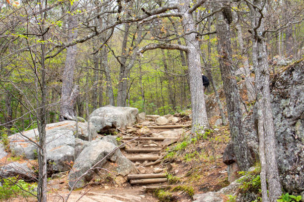 istock Gatineau Park 1352784090