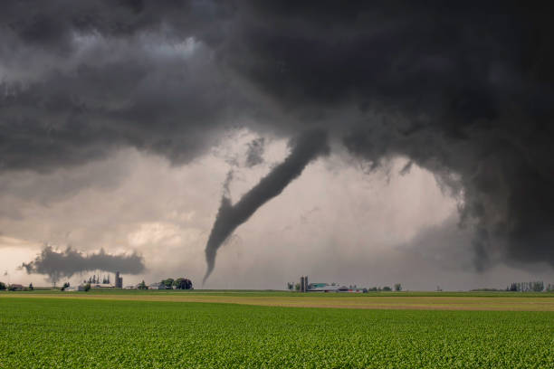 Tornado Over Field Ontario, Canada agricultural field tornado stock pictures, royalty-free photos & images