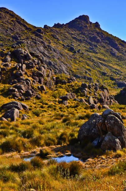 The rugged, boulder-filled high sector of Itatiaia Morro do Couto peak (2.680m), the eighth tallest in Brazil, towers above the boulder-filled high sector of Itatiaia National Park, Itatiaia, Rio de Janeiro State, Brazil mantiqueira mountains stock pictures, royalty-free photos & images