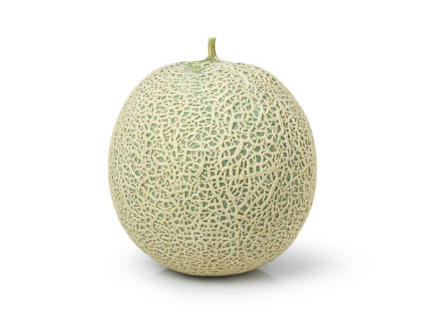 melón o melón (cucumis melo) aislado sobre blanco - cantaloupe fotografías e imágenes de stock