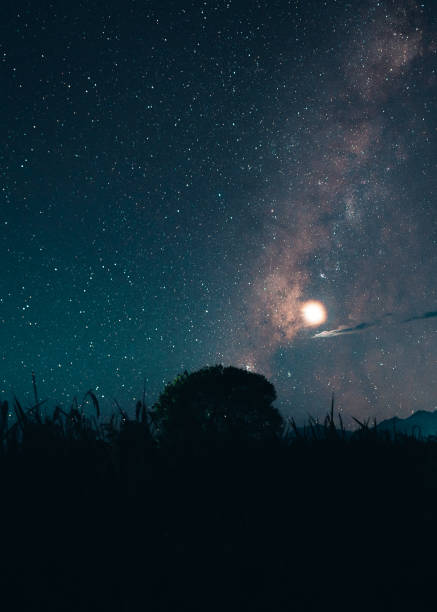 istock Milky way and night stars in the fields 1352797582