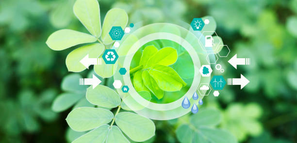 istock Green tree with eco icons on tropical nature summer panoramic background. Ecology and Environment concept 1352803605