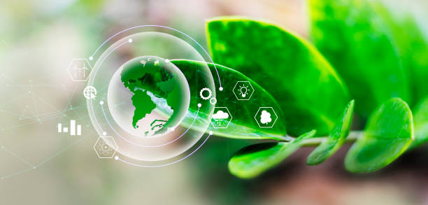 istock Green tree on tropical nature summer background. Ecology and environment concept 1352803630